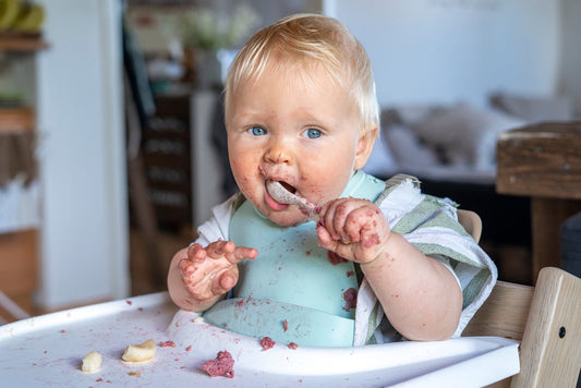 Silicone Baby Bib (Dusk Blue)