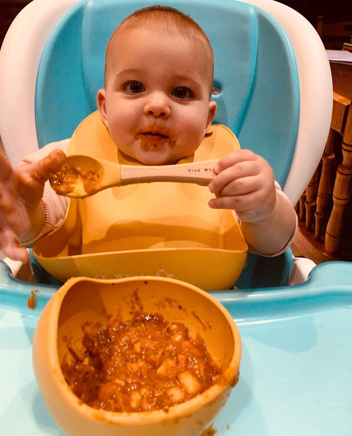 Silicone Baby Bib (Dusty Rose)